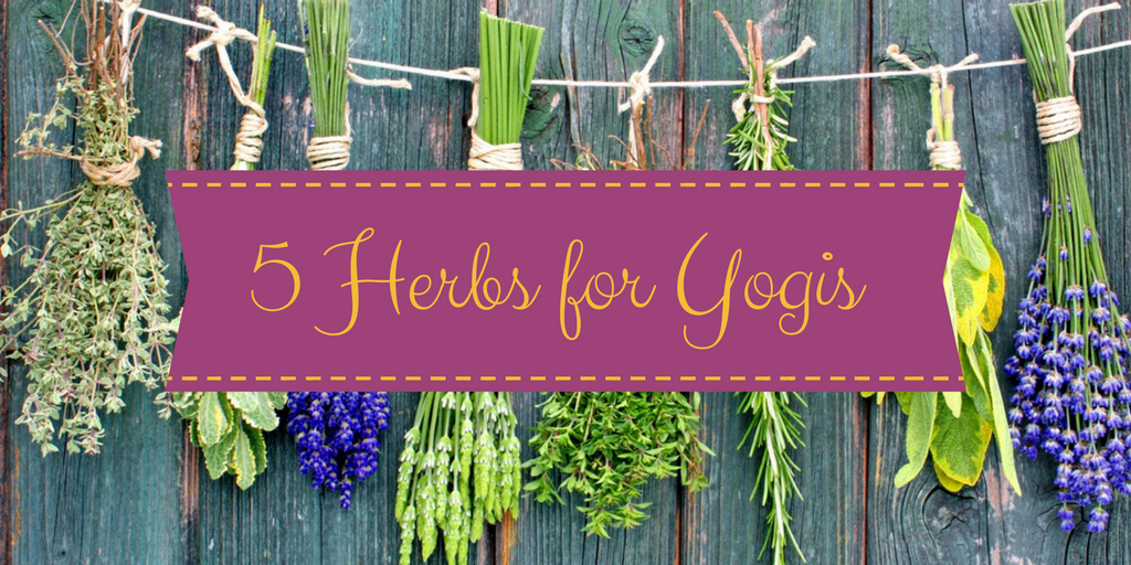 5 Herbs That Yogis Could Benefit From
