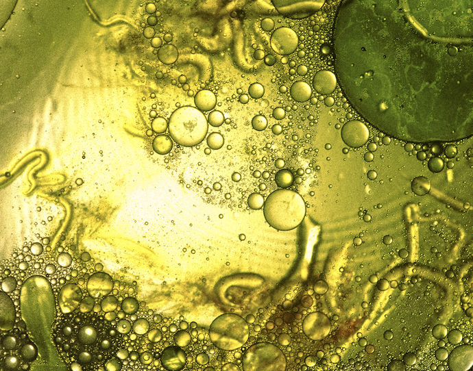 The Natural & Physiological Laws to Life
