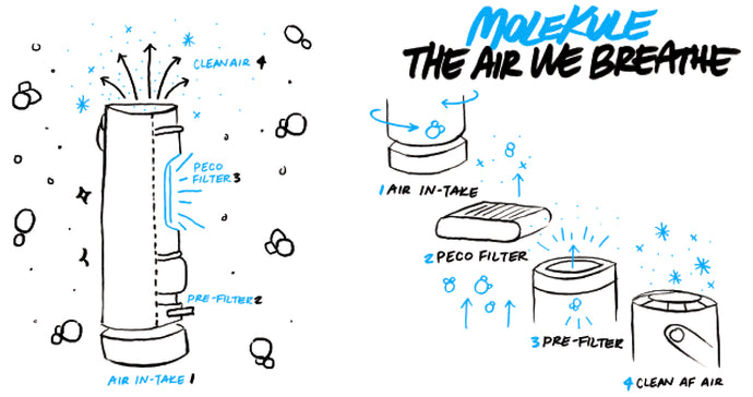 Molekule Purifiers: The Air We Breathe