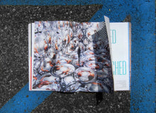 Load image into Gallery viewer, ISSUE 1: WE&#39;VE ARRIVED